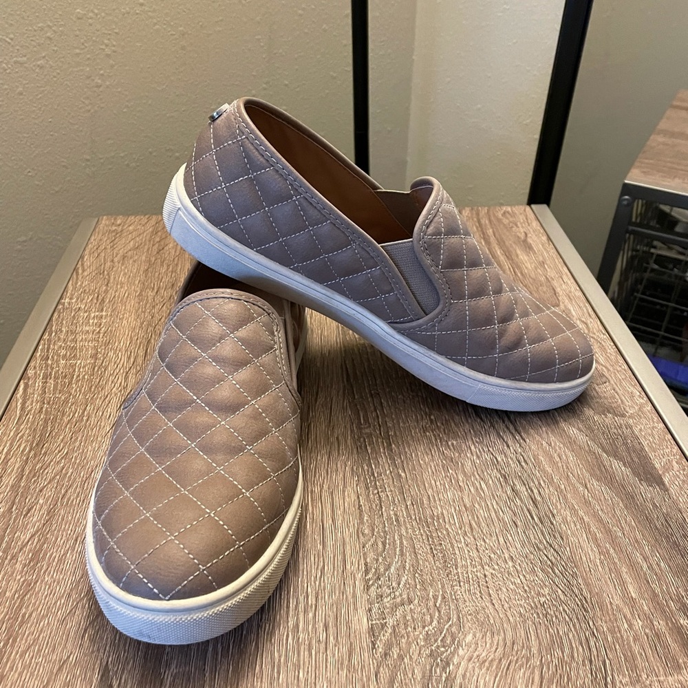 Steve Madden Ecentrcq slip on sneakers